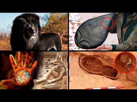 Amazing Wildlife &amp; Mysterious Discoveries! | ORIGINS EXPLAINED COMPILATION 19